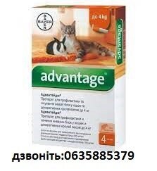 Краплі Bayer Адвантейдж 40 котів до 4 кг (паковання)
