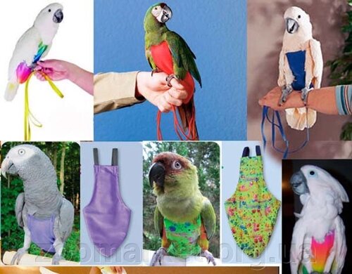 Прогулянковий костюм памперс для великих папуг та ін. птахів: какаду, ара, ворон та ін.