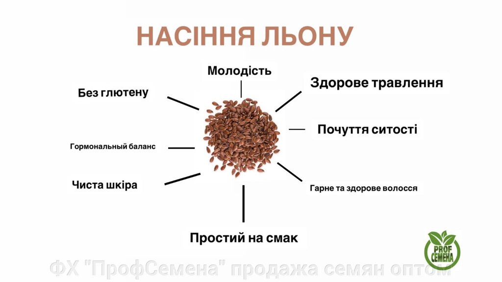 Насіння Льону 500 грамм від компанії ФГ "ПрофСемена" - фото 1