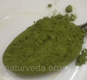 Матча зелений чай порошок преміальний 1 кг Японія Yamama Masaduen
