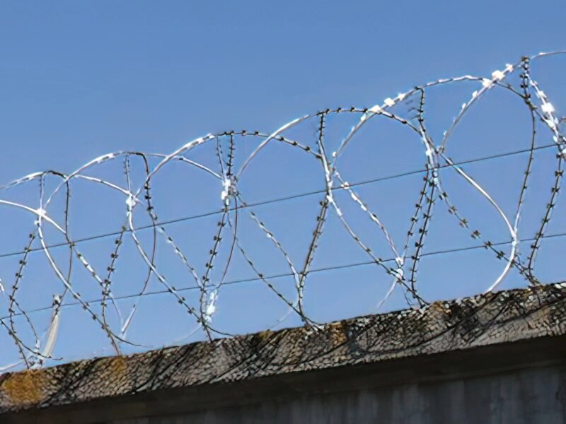Дріт колючий Гюрза 600/5 загородження спіральний від компанії ТОВ ПГ "Кайман" - фото 1