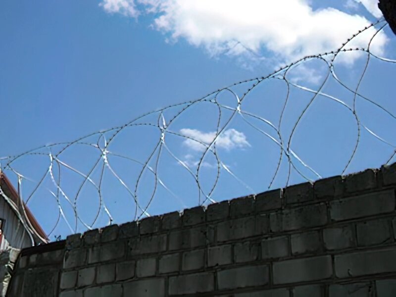 Егоза Стандарт 730/7 спіральна колючий дріт від компанії ТОВ ПГ "Кайман" - фото 1