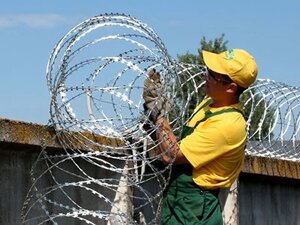 Монтаж заграждений из колючей проволоки "Гюрза", "Концертина","Егоза-Кайман