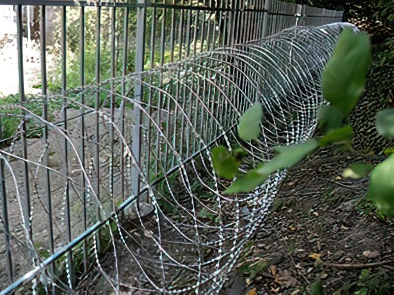 Спіральний колючий дріт Йогоза Алігатор 1350/9 від компанії ТОВ ПГ "Кайман" - фото 1