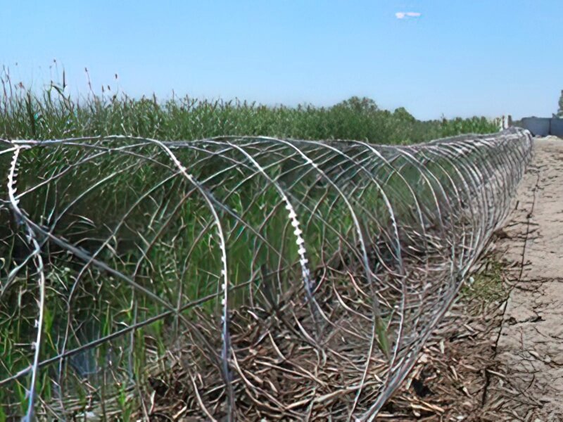 Йогоза Алігатор 1250/7 спіральний колючий дріт від компанії ТОВ ПГ "Кайман" - фото 1