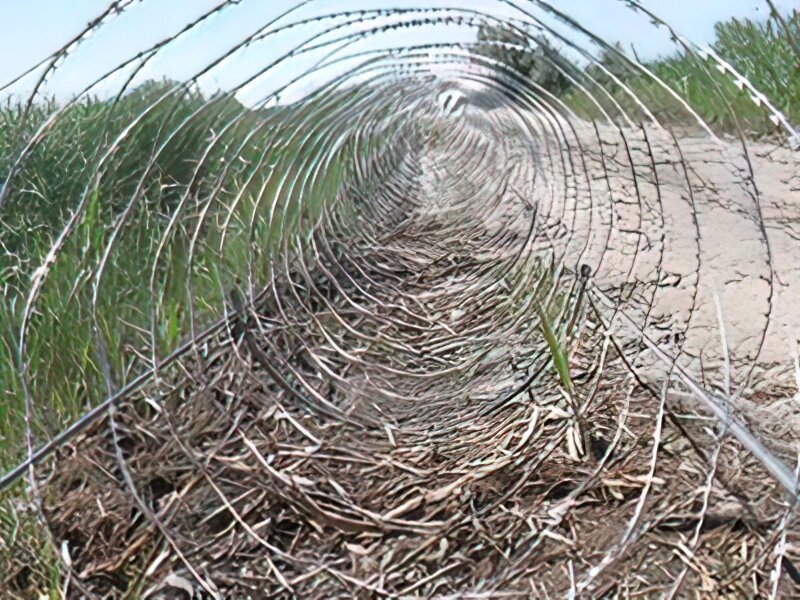 Йогоза Кайман 1350/7 спіральний колючий дріт від компанії ТОВ ПГ "Кайман" - фото 1