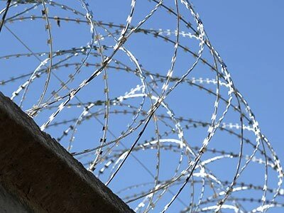 Йогоза Кобра подвійна спіраль із колючого дроту 800-500 від компанії ТОВ ПГ "Кайман" - фото 1
