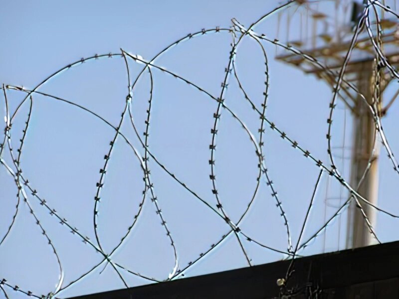 Йогоза Стандарт 1100/7 огорожа з колючого дроту від компанії ТОВ ПГ "Кайман" - фото 1