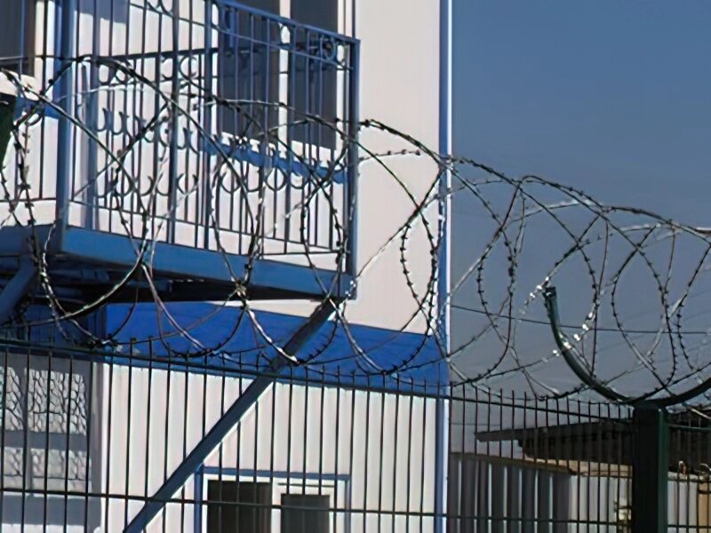Йогоза Стандарт 800/7 колючий дріт спіраль від компанії ТОВ ПГ "Кайман" - фото 1