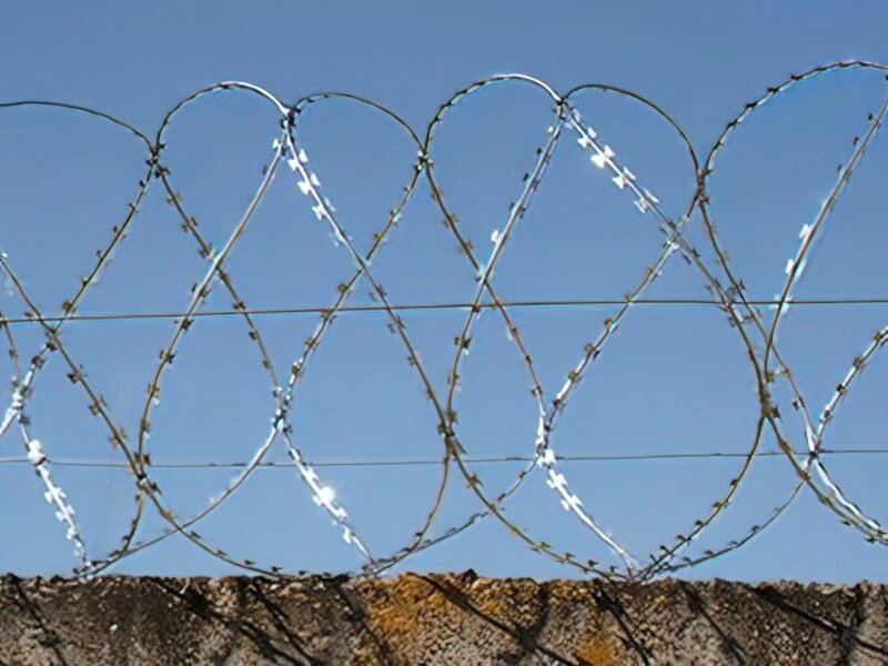 ЗКР-С Йогоза Стандарт 600/3 СББ з колючого дроту від компанії ТОВ ПГ "Кайман" - фото 1