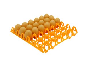 Пластиковий лоток на 30 курячих яєць