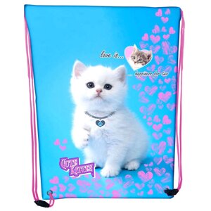 Сумка для взуття Class 210D PL 46*33см Cute kitten 2126C