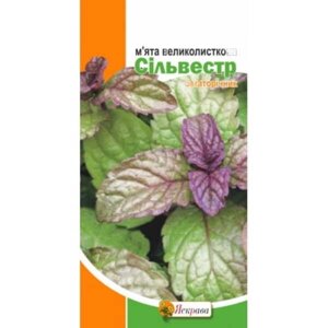 Мята крупнолистова Сільвестр Яскрава (Фасовка: 0.05 г)