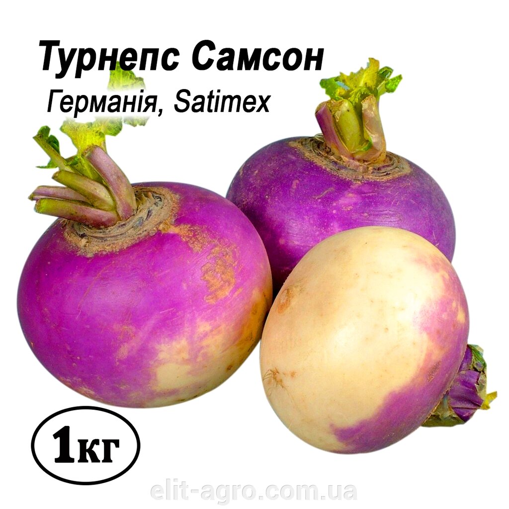Насіння Турнепс Самсон (бруква, ріпа кормова) 1 кг - гарантія