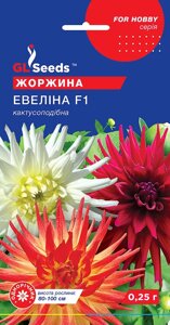 Насіння Квіти Георгіна Евеліна, GL Seeds, 0.25г