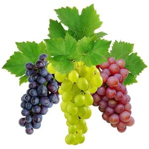 Сітка захисна капронова для винограду 2 кг червона, фіолетова, 20х30 см