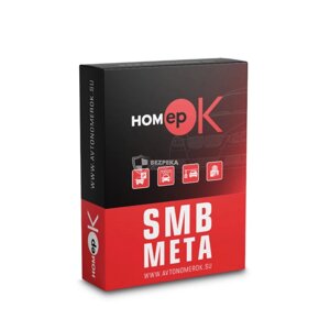 ПЗ для розпізнавання автономерів HOMEPOK SMB Meta 4 каналу