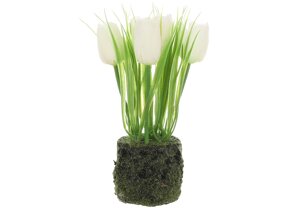 Декоративна композиція Тюльпани білі зі штучним мохом 22см Гранд Презент 714-131