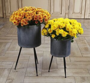 Комплект 2-х кашпо для квітів із металу на трьох ніжках чорно-сірий Гранд Презент 91084