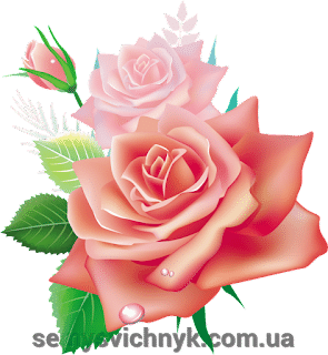 pic_2e43f8f7b816a81134bc456a7fdea88a_1920x9000_1.png pic_2e43f8f7b816a81134bc456a7fdea88a_1920x9000_1.png