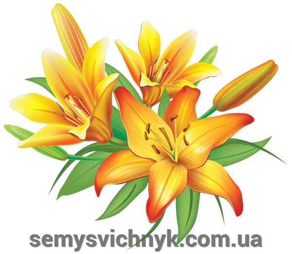 Текстильні вироби для освячення храму - фото pic_b34b677de92cf2d87fad195033dc1597_1920x9000_1.png