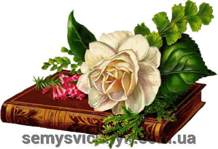 Іконостас. Міст між небесним і земним. - фото pic_ca2e31577128e50a9bd3f07e5fa84726_1920x9000_1.gif