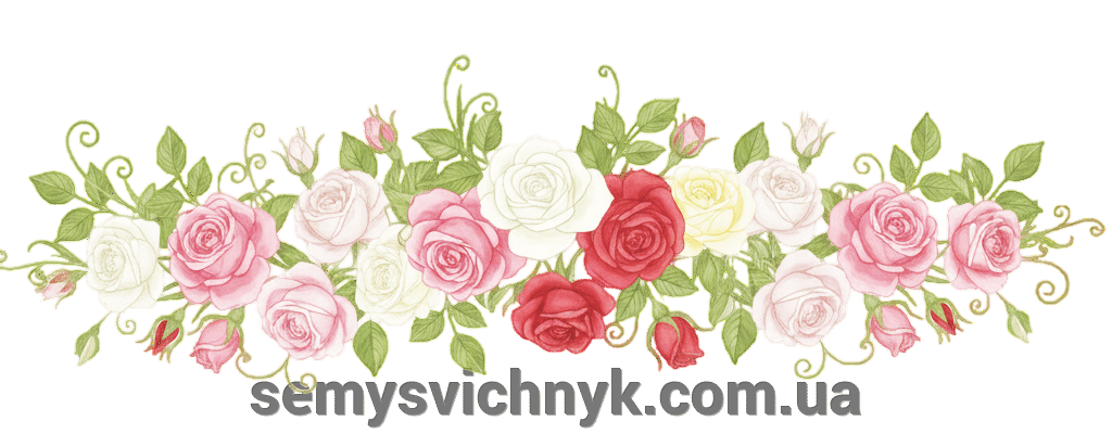 pic_28f488545da26b14201270a98662dc1f_1920x9000_1.png pic_28f488545da26b14201270a98662dc1f_1920x9000_1.png