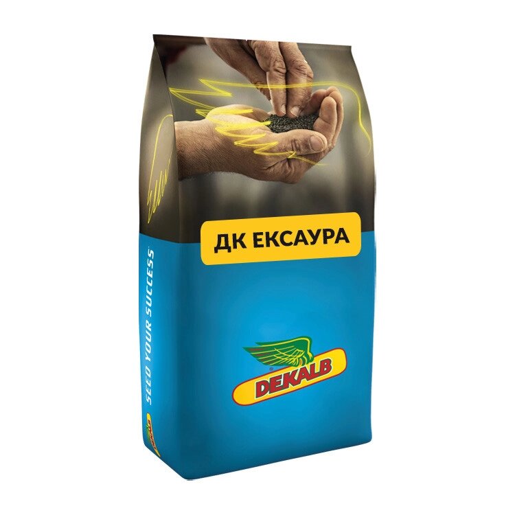 Ріпак озимий Ексаура від компанії Сементе - фото 1