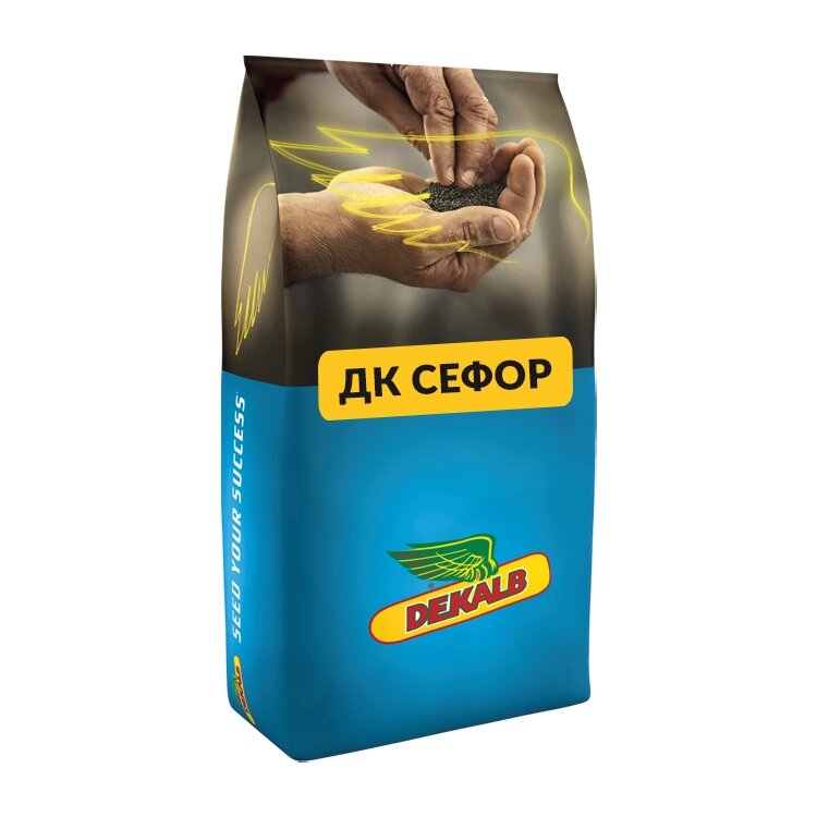 Ріпак озимий Сефор від компанії Сементе - фото 1