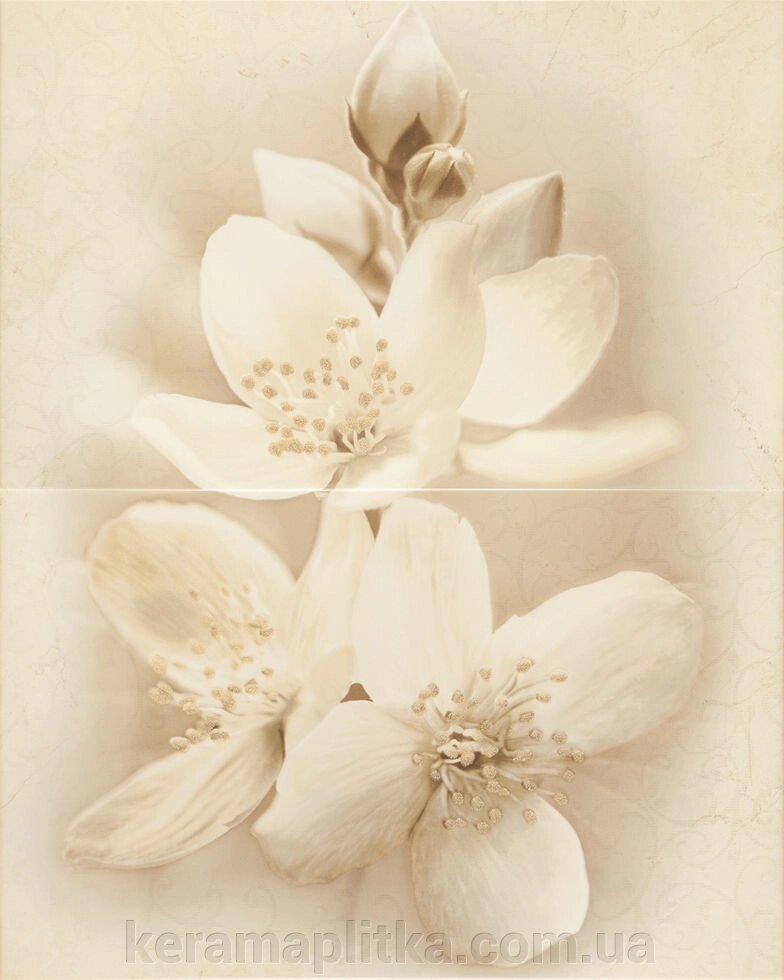 Плитка настінна Cersanit Diana Decor Flower 50х40 від компанії Магазин "Керама" м.Кременчук - фото 1