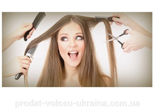 Продати Волосся Житомир, скупка волосся Житомир, купуємо волосся Житомир, Закуповуємо волосся Житомир, Україна