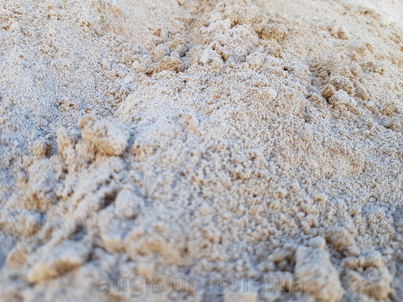 Гарцовка (РЦГ) Гарцовка (РЦГ)