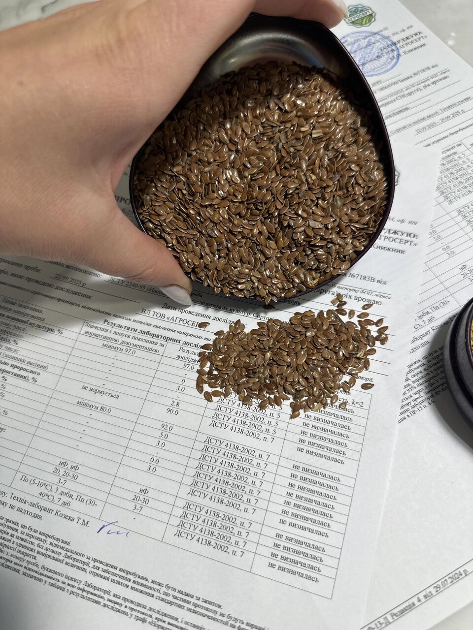 ЛЬОН ВОДОГРАЙ (2,0-2,5т/га) 85-90 днів. (СН-2) від компанії ТД «АВС СТАНДАРТ » - фото 1