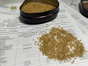 Насіння жовтого Льна. Сорт льон "ГОЛДБЕРГ" 85-90 днів, 20-25ц/га, олія 44-46%, СН-2 в Дніпропетровській області від компанії ТД «АВС СТАНДАРТ»