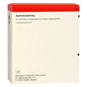 Vitamin B 6 Injeel 1,1мл.амп.№5 в Дніпропетровській області від компанії Альфа Медикал