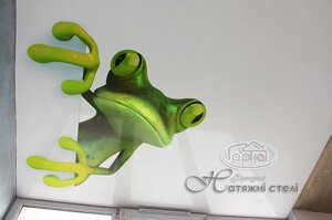Натяжні стелі з малюнком Ящірка в Волинській області от компании Гарна хата