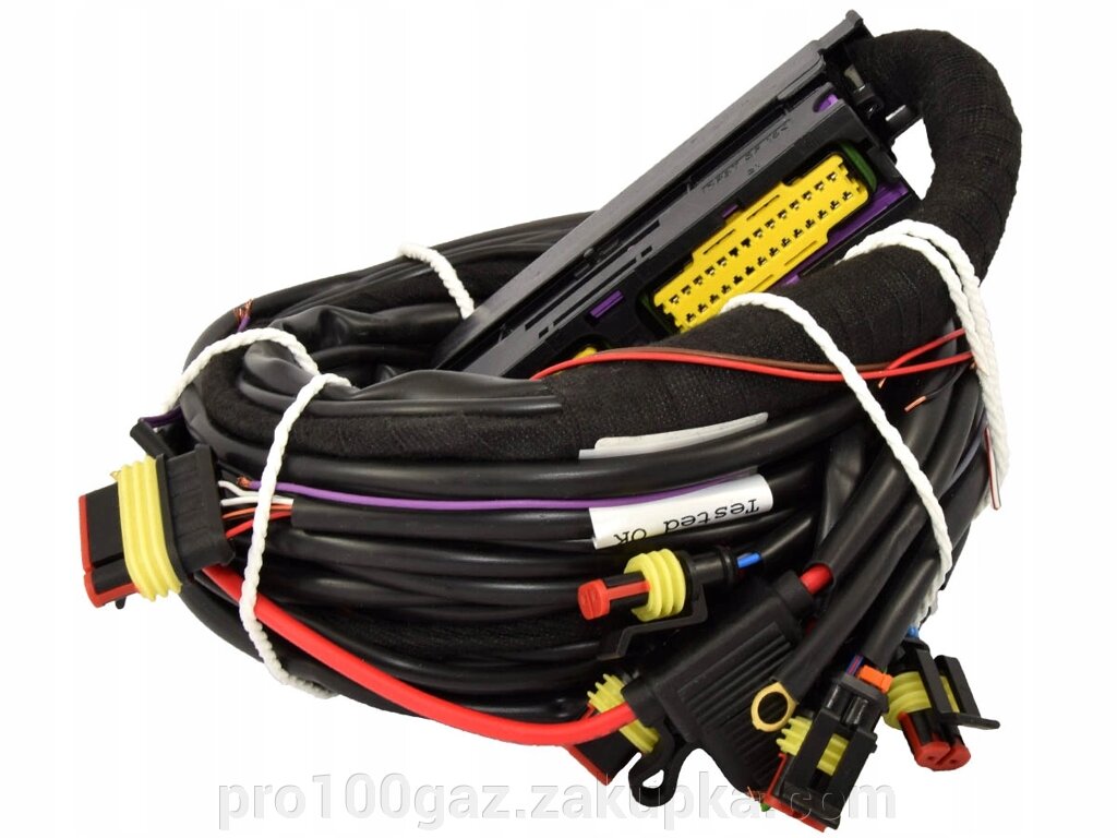 Проводка Stag-300 QMAX BASIC 6 циліндрів від компанії Pro100Gaz Установка і продаж (ГБО) - фото 1