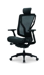 Ергономічне крісло до офісу POSH D7 251-MHL