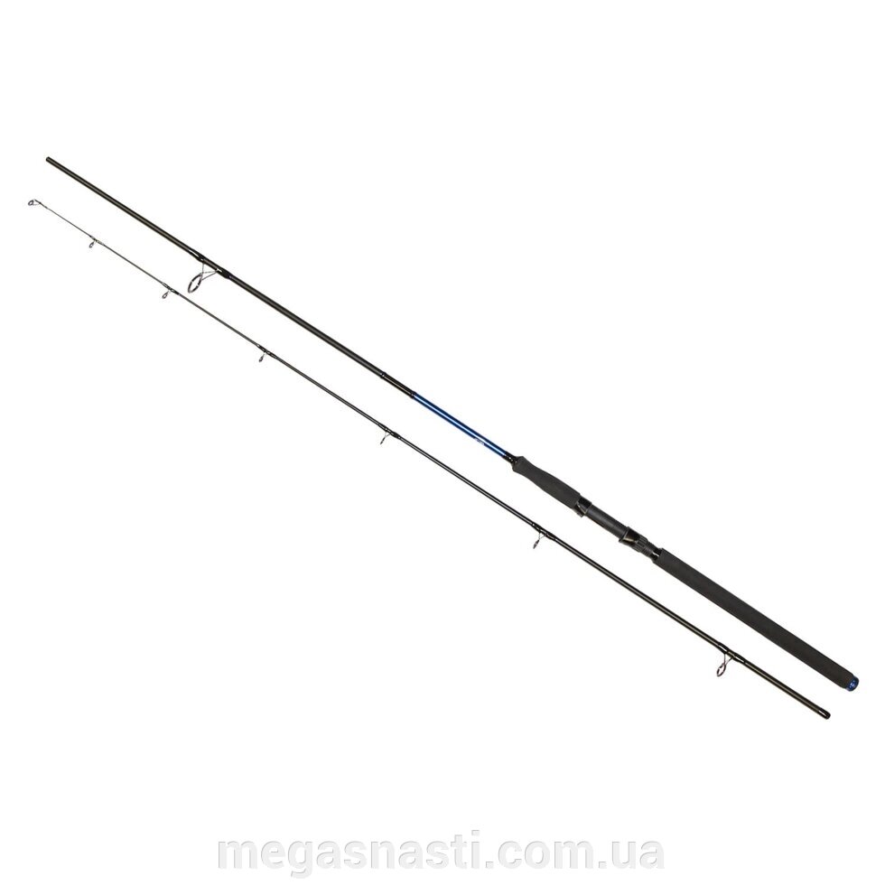 Спінінг Golden Catch Passion Power 2.40м (40-125гр) від компанії MEGASNASTI - фото 1