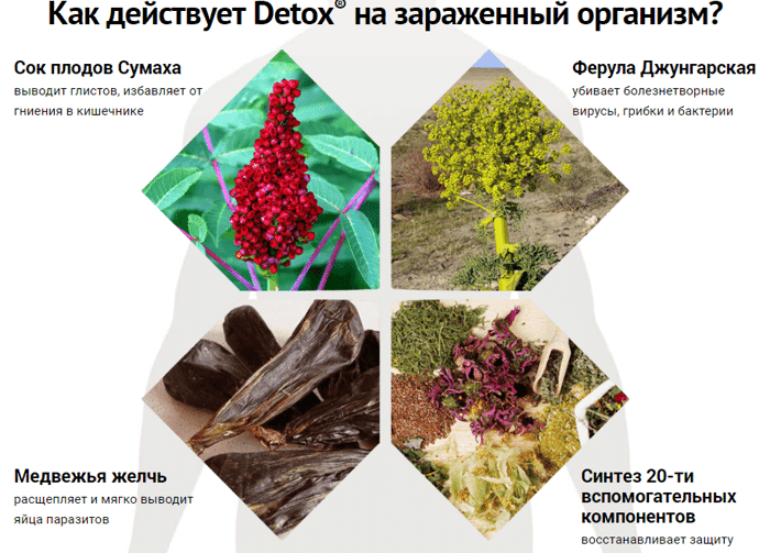 Detoxic купить в спб