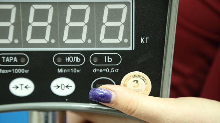 Крановые весы ВК ЗЕВС II (1000 кг)