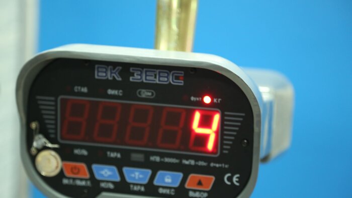 Крановые весы ВК ЗЕВС III 3т