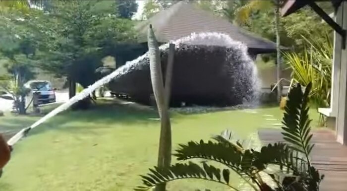 Мотопомпа Oleo-Mac WP 300