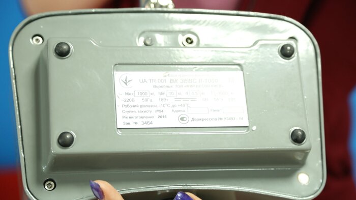 Крановые весы ВК ЗЕВС II (1000 кг)