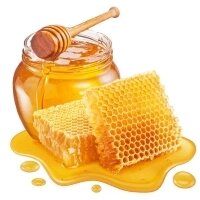 Мед і продукти бджільництва