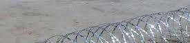 Єгоза Єгоза 600/3 з підвищеною захистом від корозії колюче огородження від компанії ТОВ "УКРСТАРЛАЙН" - фото 1