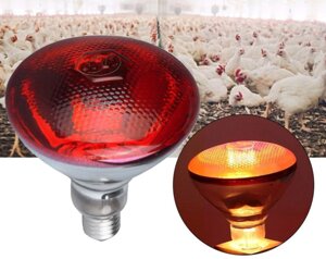 Інфрачервона 100 Вт лампа для обігріву (червоне скло)