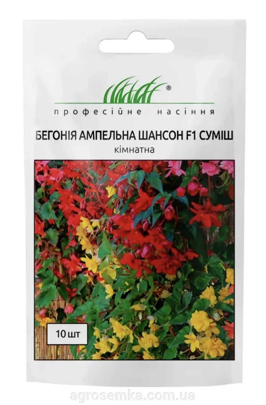 Бегонія бульбова ампельна Шансон F1 10шт / Cerny від компанії AgroSemka - фото 1