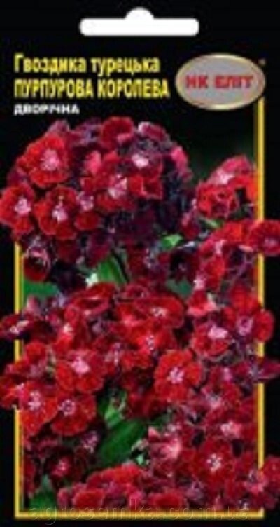 Гвоздика Турецька Пурпурова королева 0.3г від компанії AgroSemka - фото 1