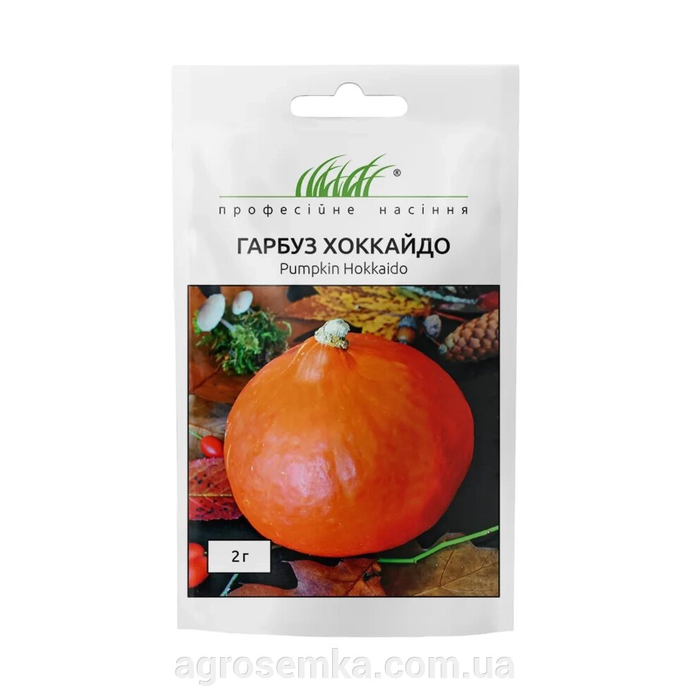 Насіння Гарбуз Хоккайдо 2г / Hem Zaden від компанії AgroSemka - фото 1